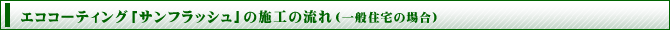 �G�R�R�[�e�B���O�u�T���t���b�V���v�̎{�H�̗���i��ʏZ��̏ꍇ�j