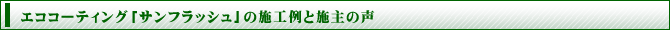 �G�R�R�[�e�B���O�u�T���t���b�V���v�̎{�H��Ǝ{��̐�